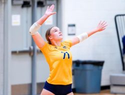 252 wireless in greenville nc Your Ultimate Connectivity Solution