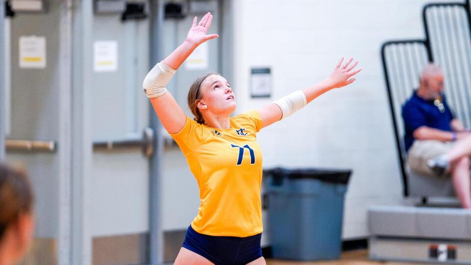 CJ78M05 TO-252-2L 长晶78M05贴片三端稳压器LDO电压调节器-阿里巴巴